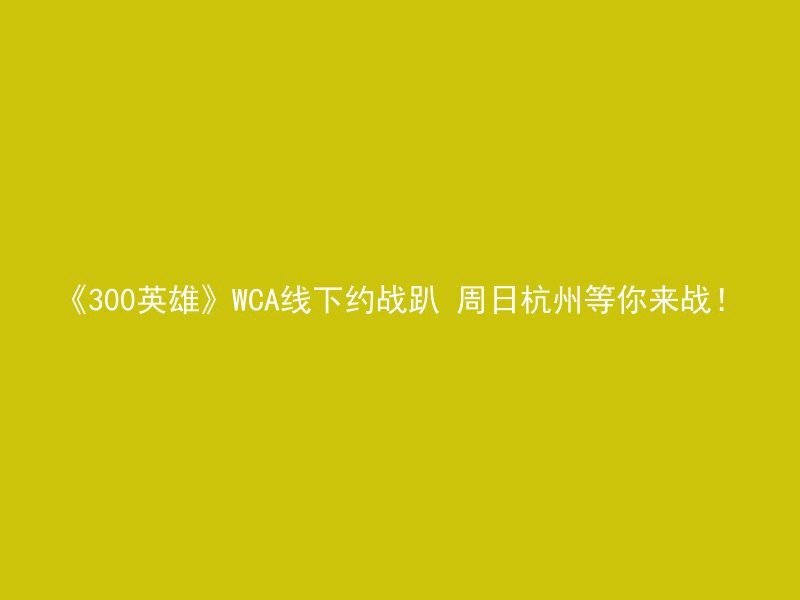 《300英雄》WCA线下约战趴 周日杭州等你来战！