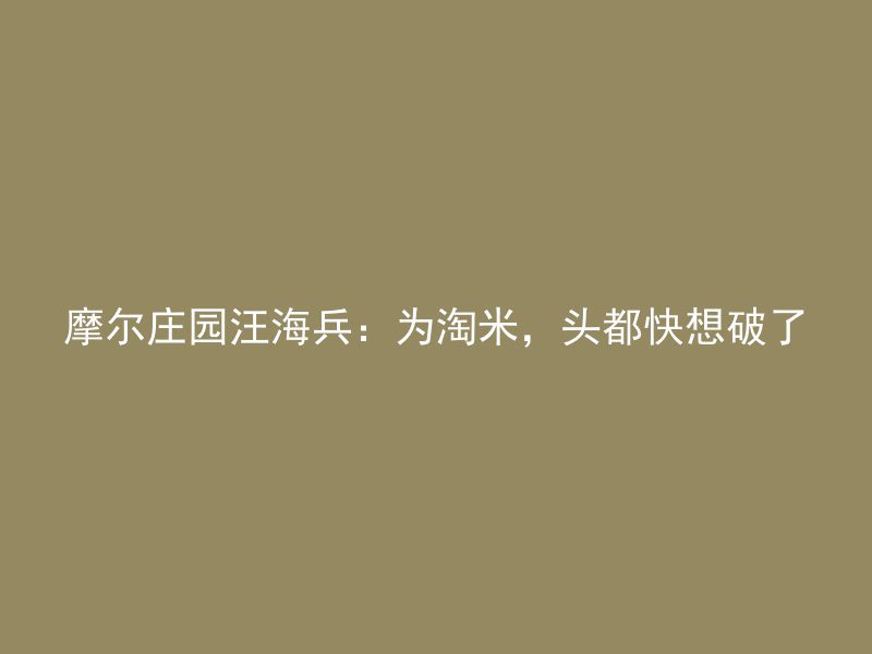 摩尔庄园汪海兵：为淘米，头都快想破了