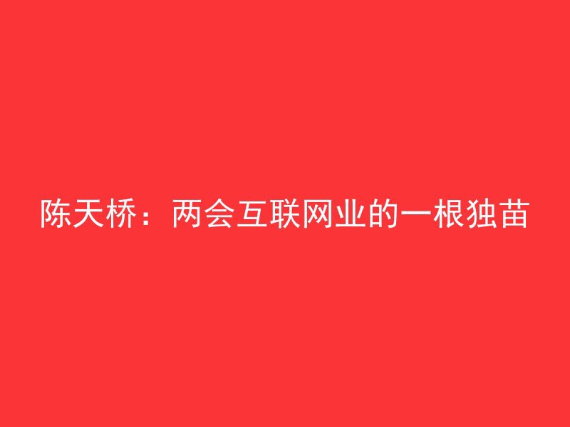 陈天桥：两会互联网业的一根独苗