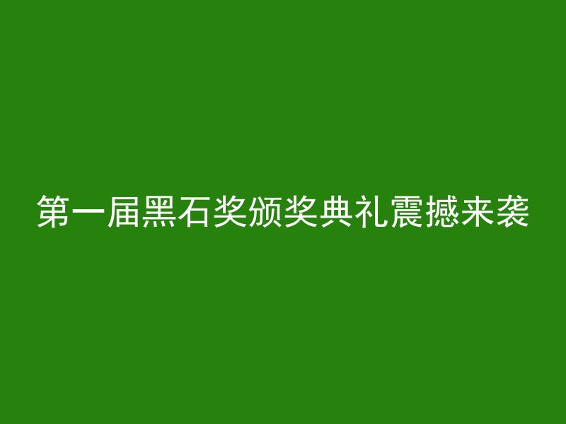 第一届黑石奖颁奖典礼震撼来袭