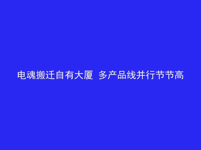 电魂搬迁自有大厦 多产品线并行节节高