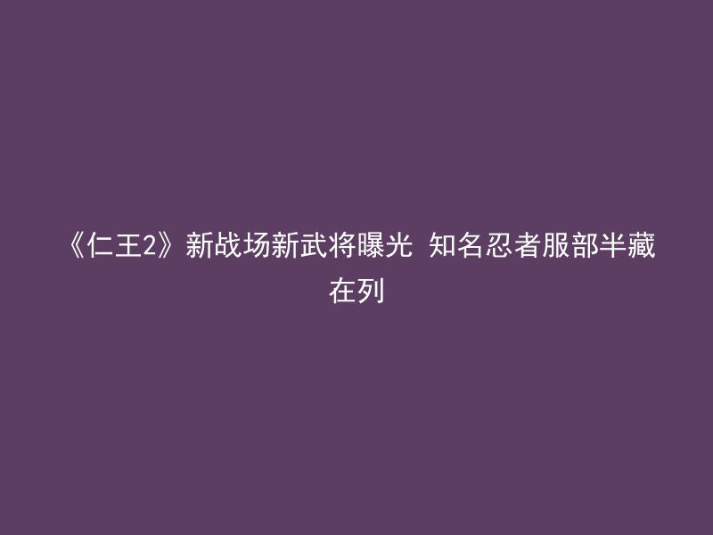 《仁王2》新战场新武将曝光 知名忍者服部半藏在列