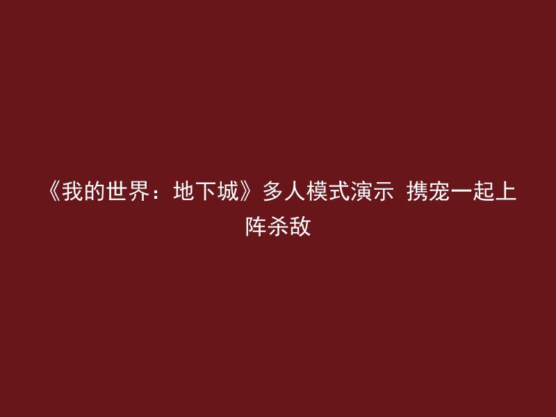 《我的世界：地下城》多人模式演示 携宠一起上阵杀敌