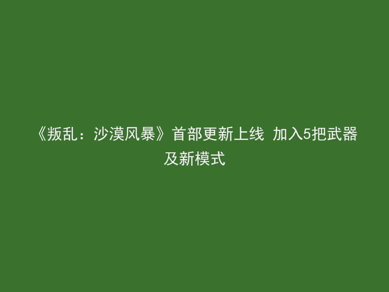 《叛乱：沙漠风暴》首部更新上线 加入5把武器及新模式