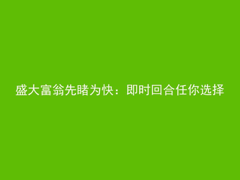 盛大富翁先睹为快：即时回合任你选择