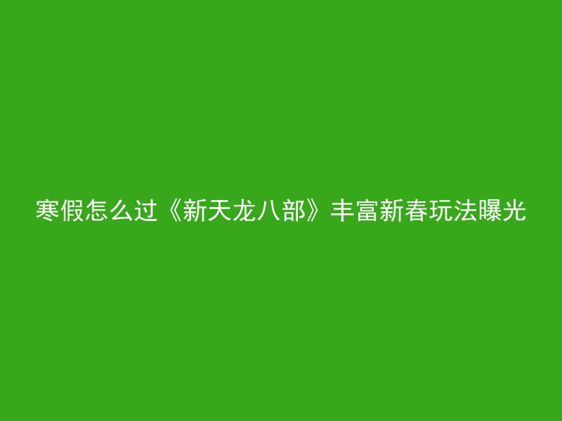 寒假怎么过《新天龙八部》丰富新春玩法曝光