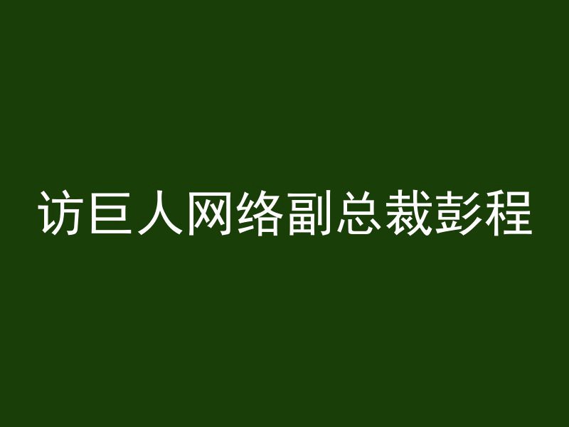 访巨人网络副总裁彭程