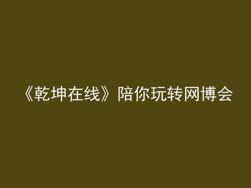 《乾坤在线》陪你玩转网博会