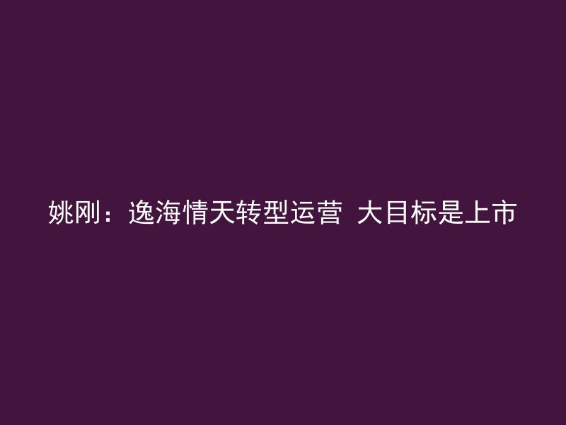 姚刚：逸海情天转型运营 大目标是上市