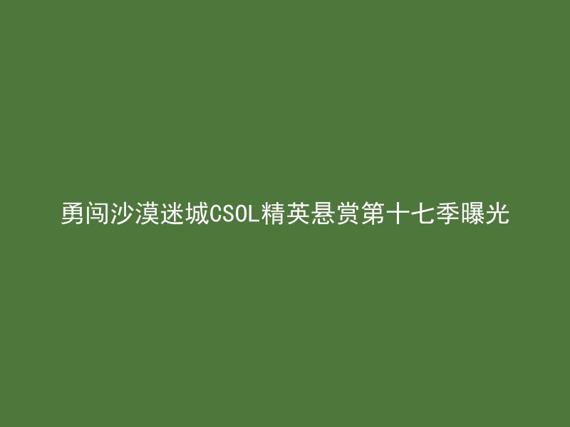 勇闯沙漠迷城CSOL精英悬赏第十七季曝光