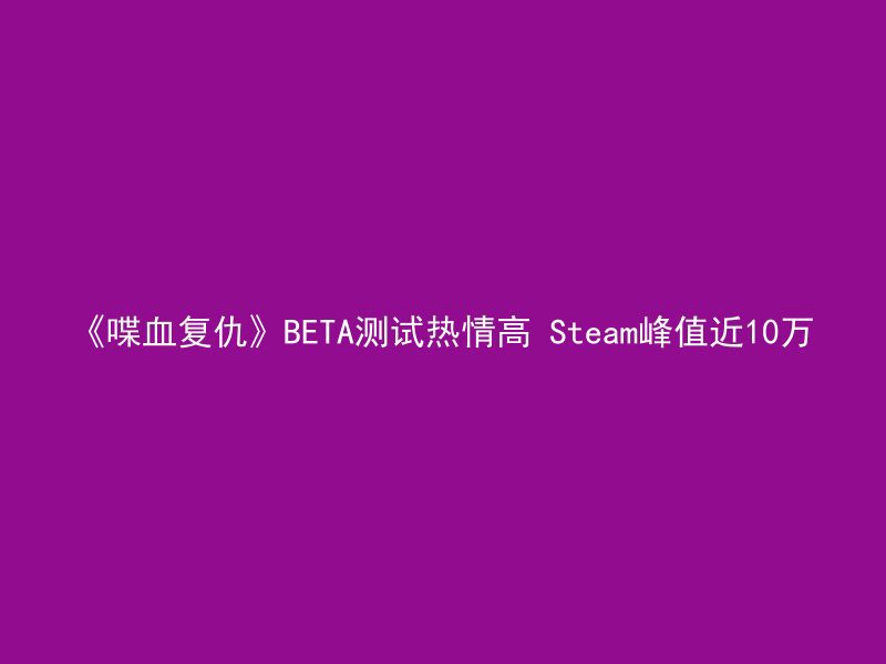 《喋血复仇》BETA测试热情高 Steam峰值近10万