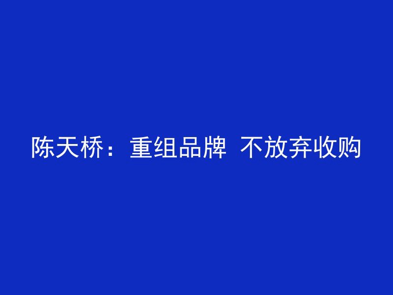 陈天桥：重组品牌 不放弃收购