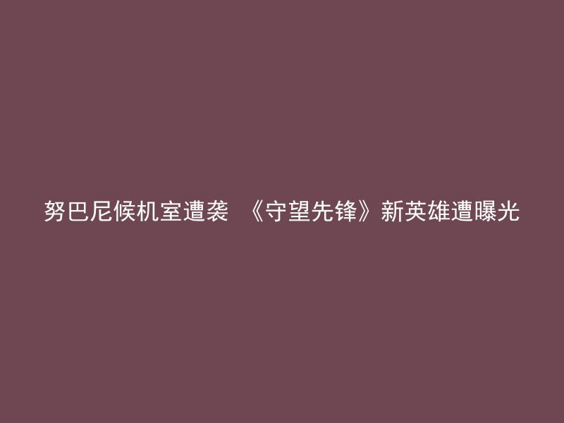 努巴尼候机室遭袭 《守望先锋》新英雄遭曝光