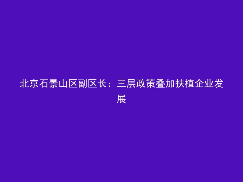 北京石景山区副区长：三层政策叠加扶植企业发展