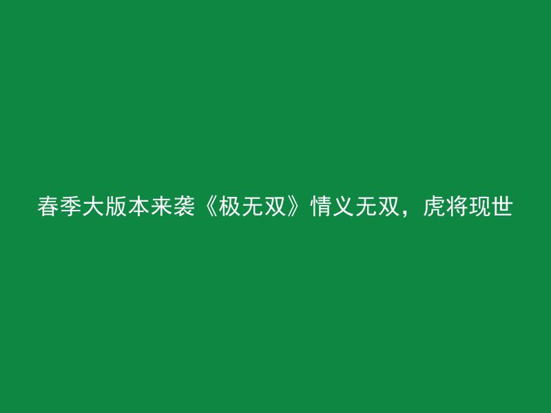 春季大版本来袭《极无双》情义无双，虎将现世