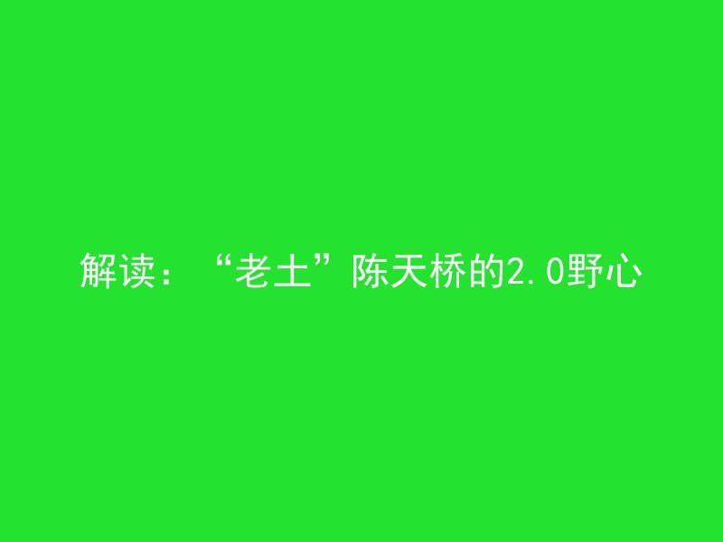 解读：“老土”陈天桥的2.0野心