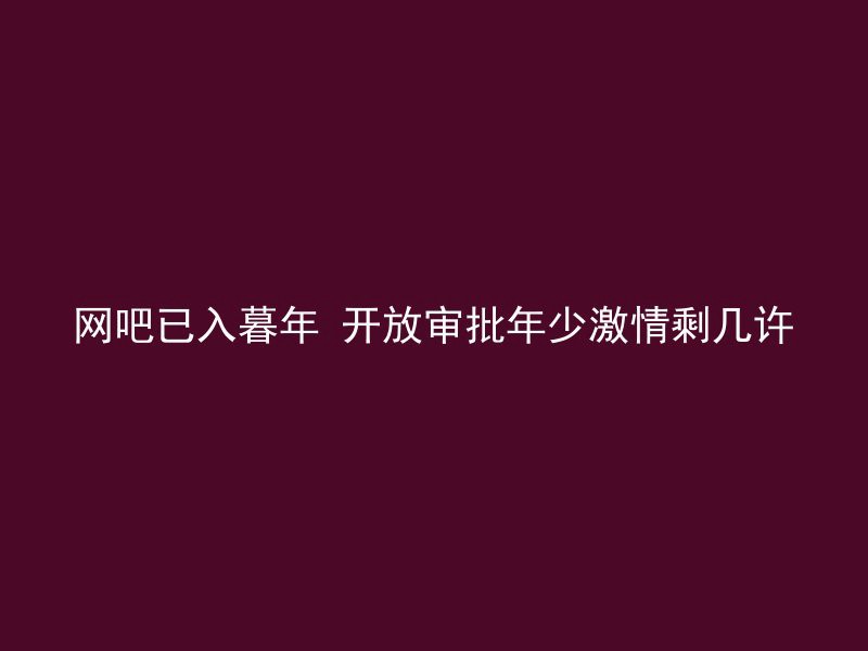 网吧已入暮年 开放审批年少激情剩几许