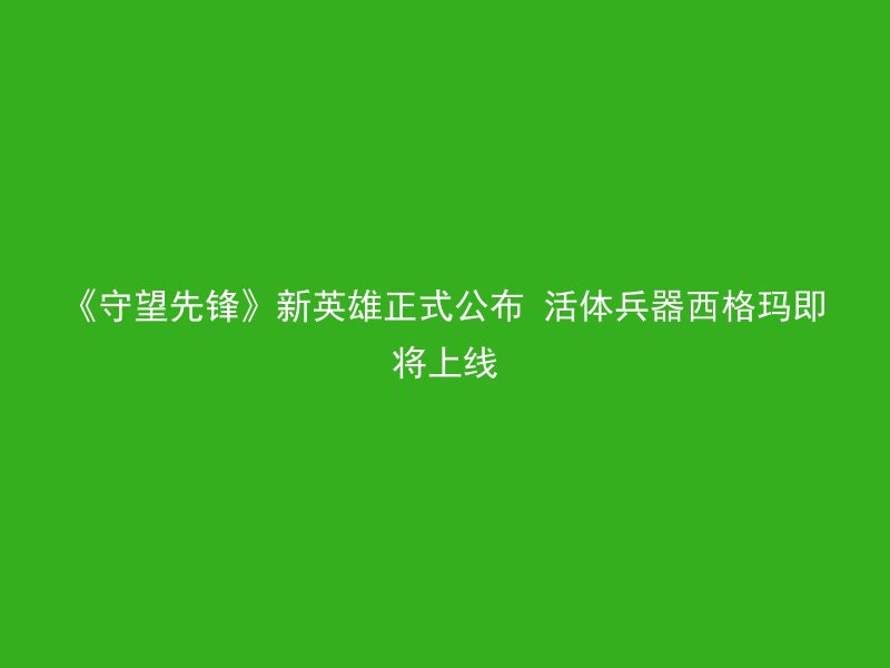 《守望先锋》新英雄正式公布 活体兵器西格玛即将上线