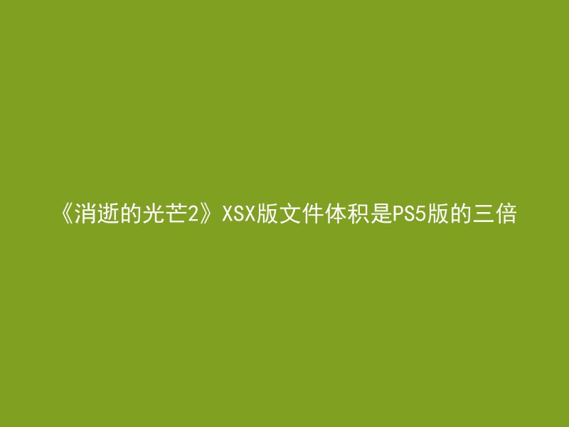 《消逝的光芒2》XSX版文件体积是PS5版的三倍