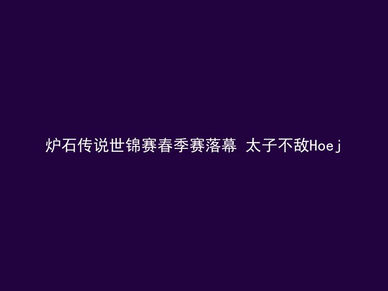 炉石传说世锦赛春季赛落幕 太子不敌Hoej