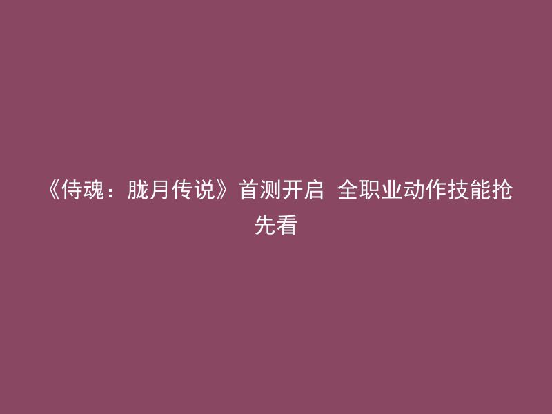 《侍魂：胧月传说》首测开启 全职业动作技能抢先看