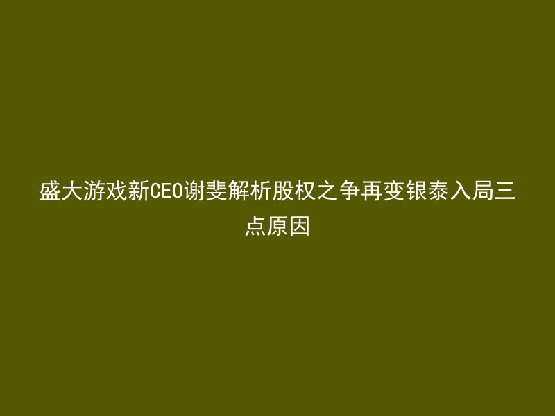 盛大游戏新CEO谢斐解析股权之争再变银泰入局三点原因