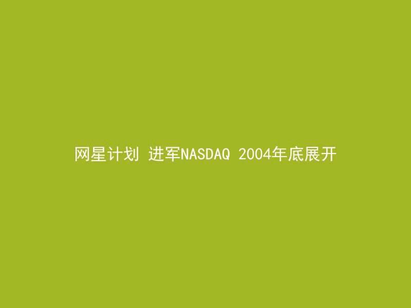 网星计划 进军NASDAQ 2004年底展开