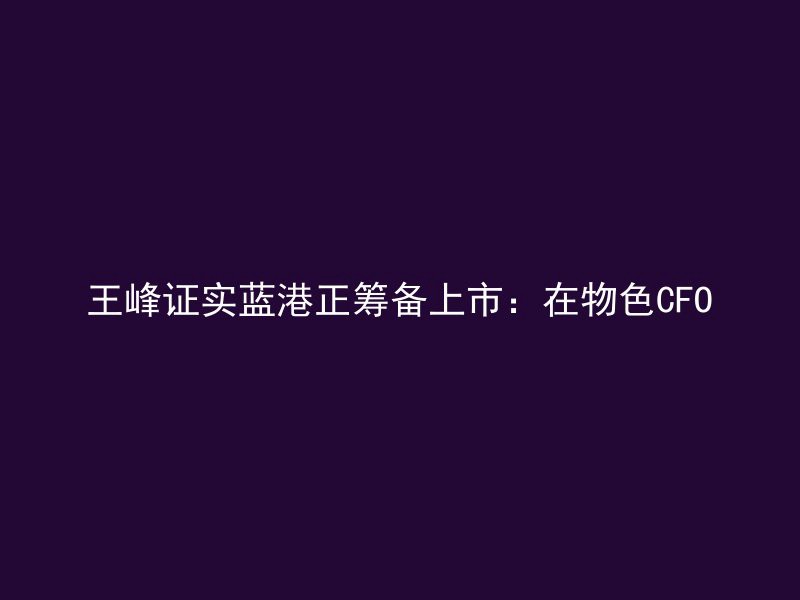 王峰证实蓝港正筹备上市：在物色CFO