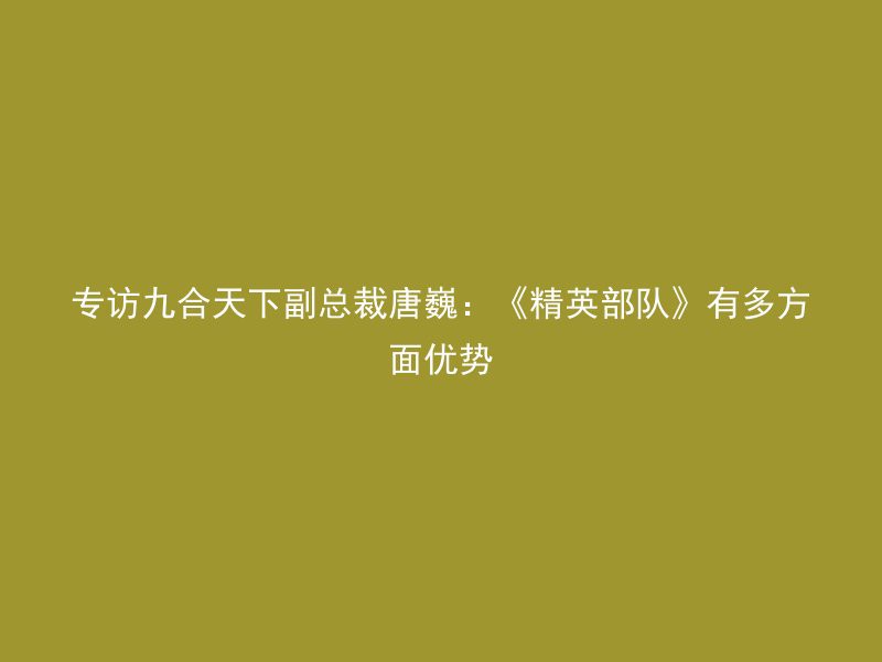 专访九合天下副总裁唐巍：《精英部队》有多方面优势