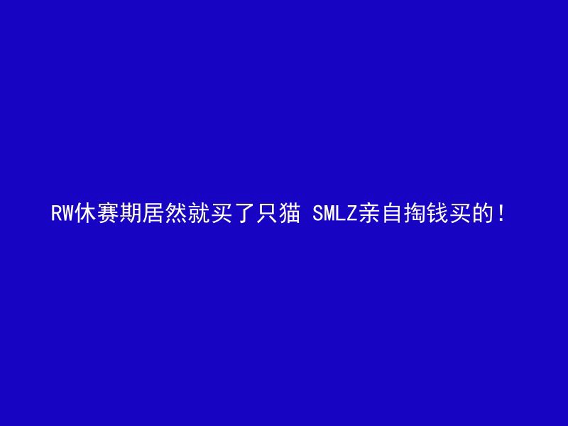 RW休赛期居然就买了只猫 SMLZ亲自掏钱买的！