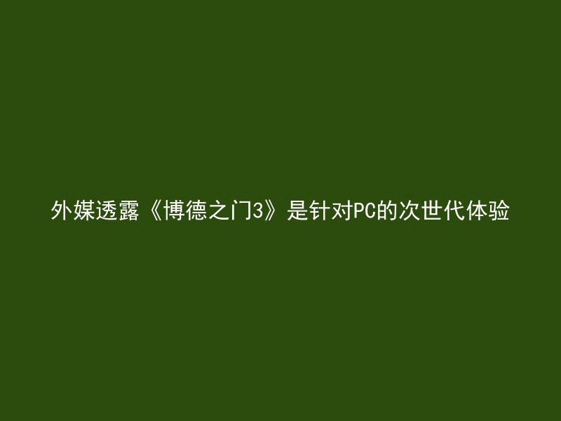 外媒透露《博德之门3》是针对PC的次世代体验