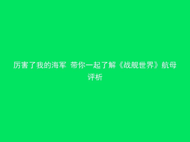 厉害了我的海军 带你一起了解《战舰世界》航母评析