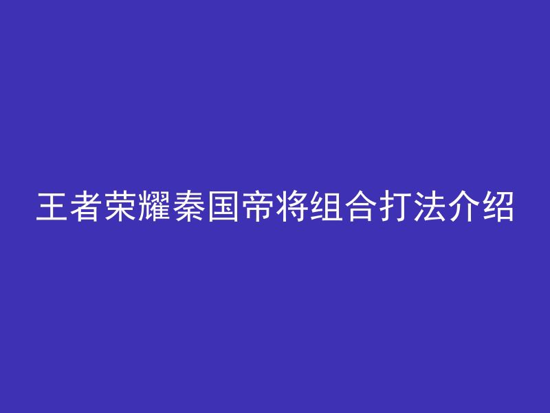 王者荣耀秦国帝将组合打法介绍