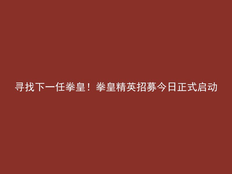 寻找下一任拳皇！拳皇精英招募今日正式启动