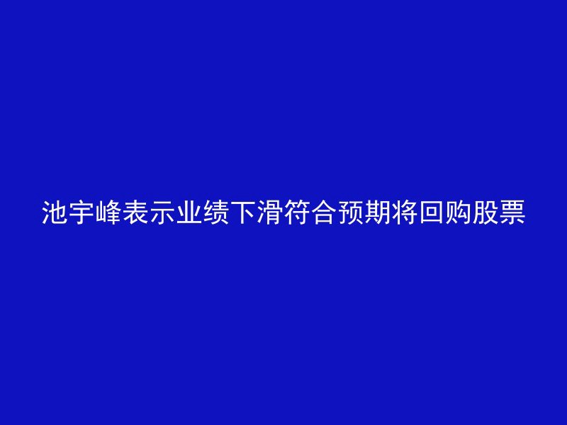 池宇峰表示业绩下滑符合预期将回购股票