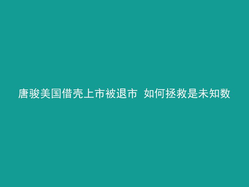 唐骏美国借壳上市被退市 如何拯救是未知数