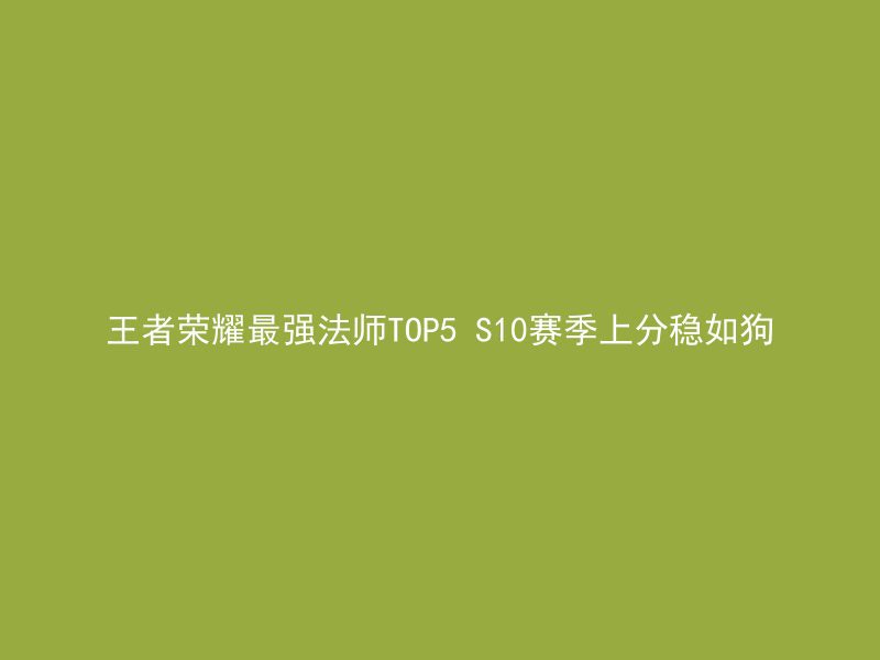 王者荣耀最强法师TOP5 S10赛季上分稳如狗