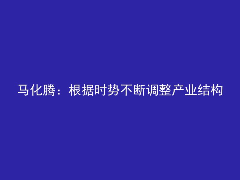 马化腾：根据时势不断调整产业结构