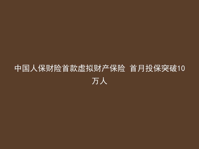 中国人保财险首款虚拟财产保险 首月投保突破10万人