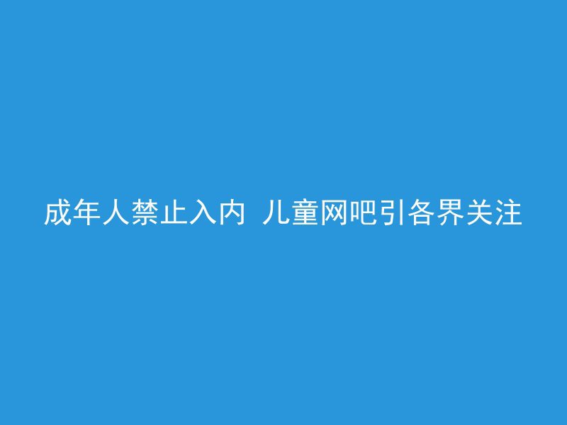 成年人禁止入内 儿童网吧引各界关注