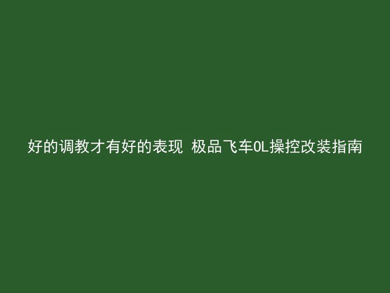 好的调教才有好的表现 极品飞车OL操控改装指南