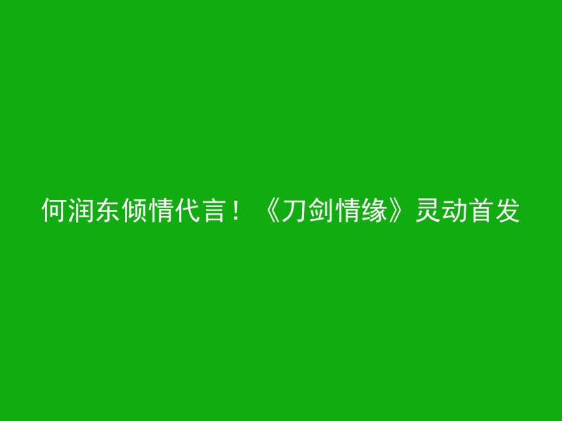 何润东倾情代言！《刀剑情缘》灵动首发