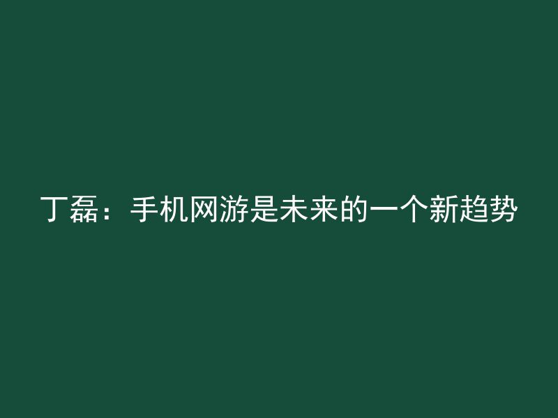 丁磊：手机网游是未来的一个新趋势