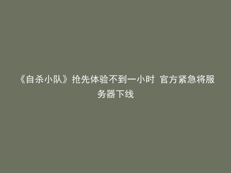 《自杀小队》抢先体验不到一小时 官方紧急将服务器下线