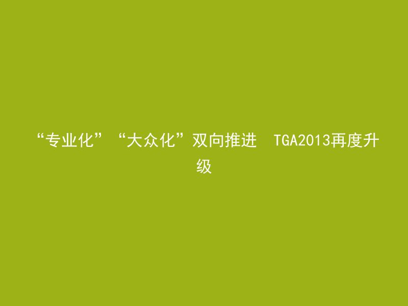 “专业化”“大众化”双向推进  TGA2013再度升级