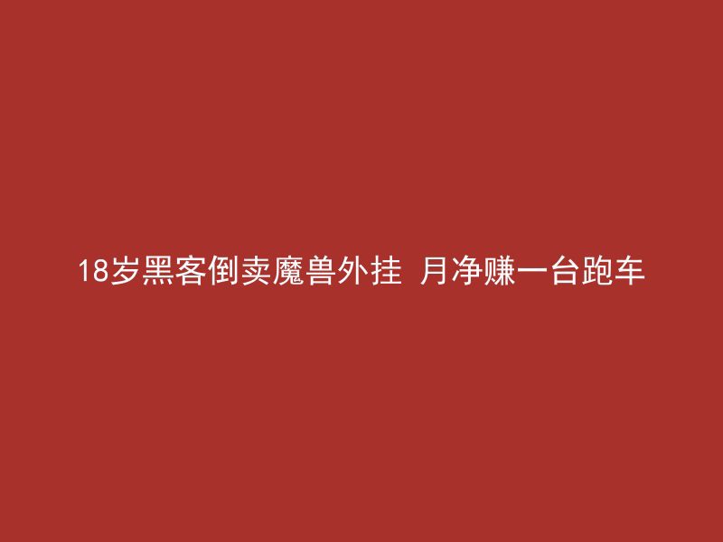 18岁黑客倒卖魔兽外挂 月净赚一台跑车