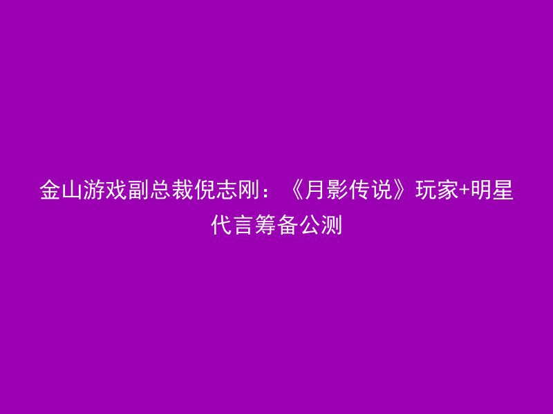 金山游戏副总裁倪志刚：《月影传说》玩家+明星代言筹备公测