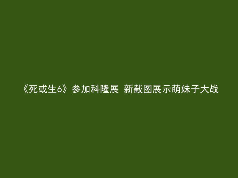 《死或生6》参加科隆展 新截图展示萌妹子大战