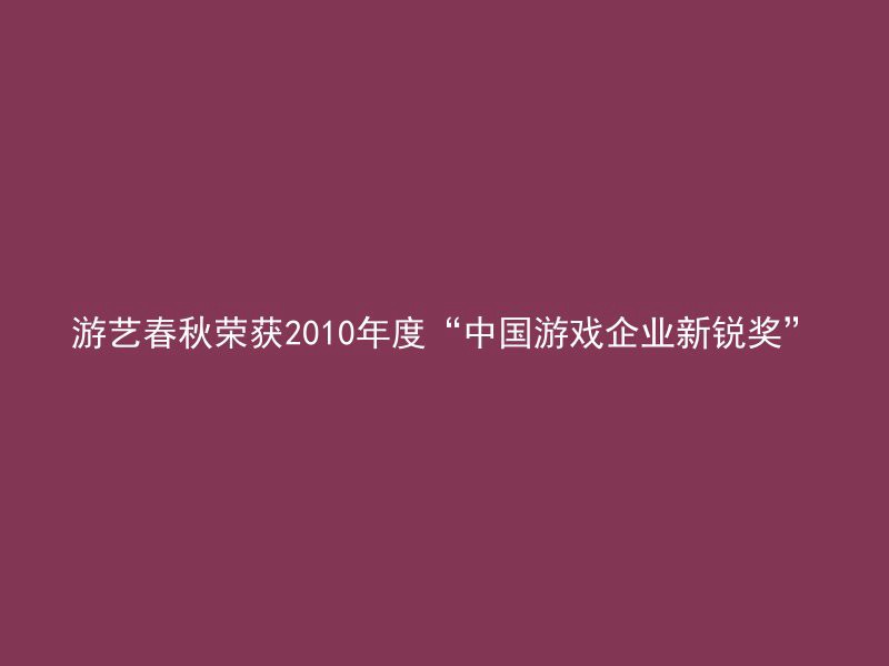 游艺春秋荣获2010年度“中国游戏企业新锐奖”