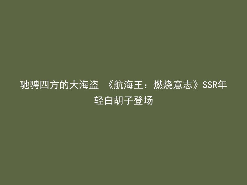 驰骋四方的大海盗 《航海王：燃烧意志》SSR年轻白胡子登场